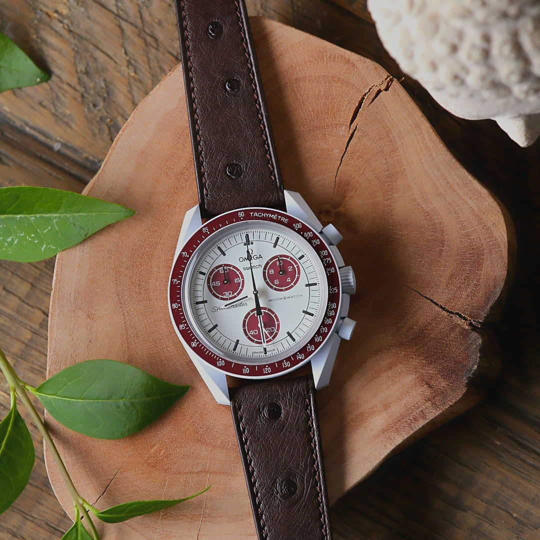 Best Watch Straps for Omega Swatch Pluto | Complete Strap Guide